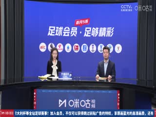 多特蒙德VS勒沃库森