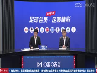 拜仁慕尼黑VS霍芬海姆