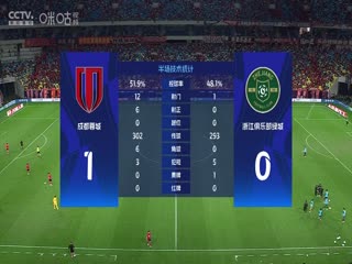 成都蓉城VS浙江俱乐部绿城