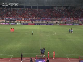 青岛红狮VS山东泰山